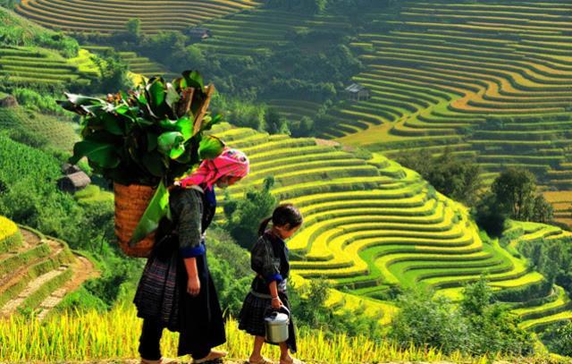 Khach San Sapa Ngay Nay Otel Dış mekan fotoğraf